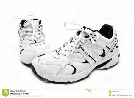 agrandir-chaussures-de-sport,chaussures-timberland-sport-2000,chaussure-de-sport-gosport